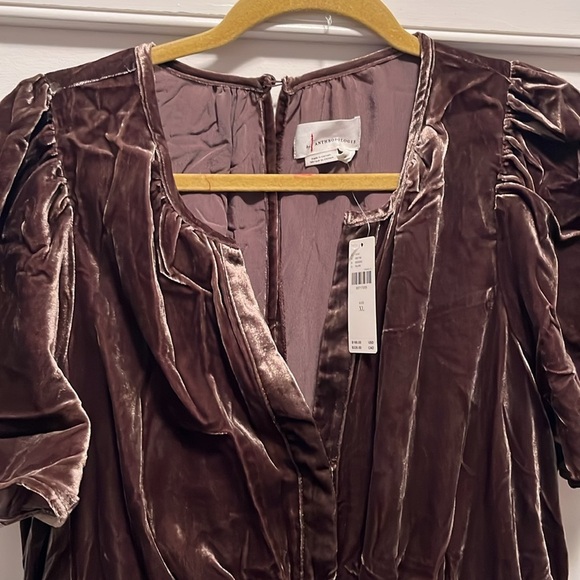 Anthropologie The Somerset Velvet Edition size XL NWT - Picture 8 of 15